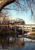 SI dn j1211 bushey side tree sept 1989.JPG